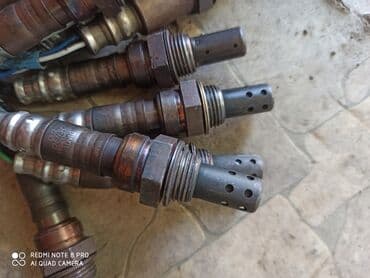 помощь в получении гражданства рф в бишкеке: Лямбда зонды лямбда зонды лямбда зонды на все марки машин горантия — 4