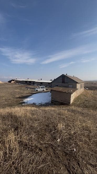 участок ново пакровка: 5 соток, Для сельского хозяйства, Красная книга, Тех паспорт, Договор купли-продажи — 1