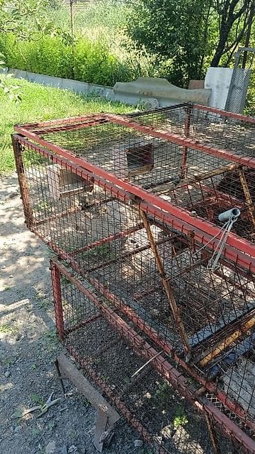 собачий дом: Клетка для кроликов и кур - Конструкция из металлического профиля и — 2