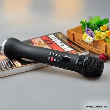 акустические системы cooldog с микрофоном: Микрофон Lewinner L-598 - незаменимый аксессуар для ярких и веселых — 1