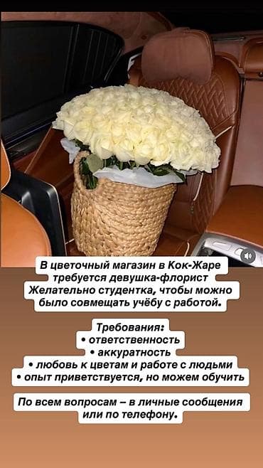 Кампа: Документ түзүүчү — 1