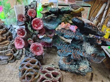 аквариумная рыбка: Новые украшения для оформления красивых аквариумов — 7