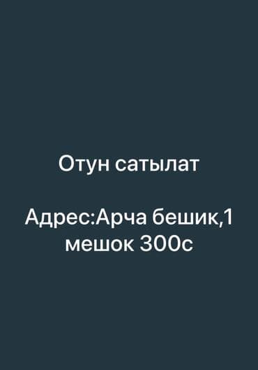 сухие дрова: Дрова — 1