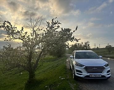 sprinter cdi: Hyundai Tucson: 2019 г., 2 л, Автомат, Дизель, Кроссовер — 10