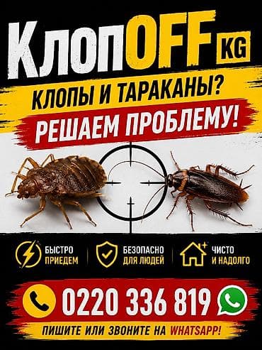 Клининговые услуги: Избавляем от клопов и тараканов. - Безопасные для людей методы — 1
