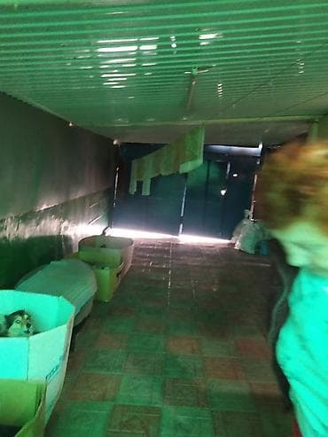на дордое: Продаем дом в районе Турецкого лицея ул. Хмельницкая/ Тульская в — 4