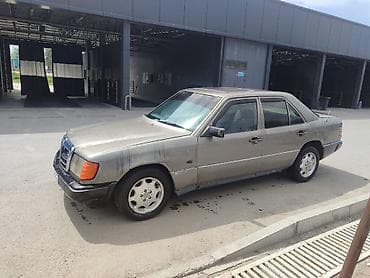 Унаа сатуу: Mercedes-Benz W124: 1992 г., 2.3 л, Кол менен иштөөчү, Бензин, Седан — 1