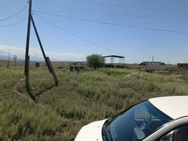 дом в районе кызыл аскер: Продаю Кошара, 600 соток, Действующий, С оборудованием, Электричество, Скважина — 2