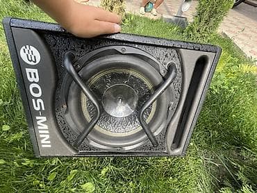Аудиотехника: Активный уличный сабвуфер BOS-MINI - Формат: компактный активный — 2