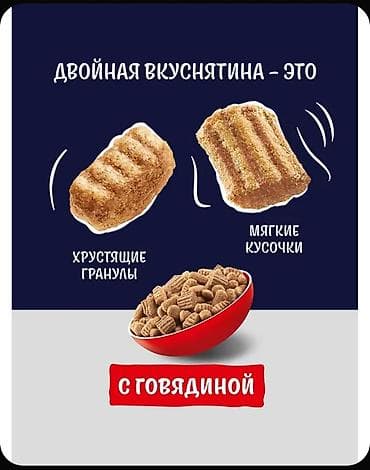 усыпление животных бишкек: Люксембург. Зоомагазин Ветинтерсервис. Большой выбор — 2