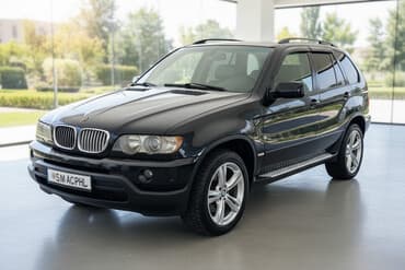 bwm самурай: BMW X5: 2001 г., 3 л, Газ, Кроссовер — 1