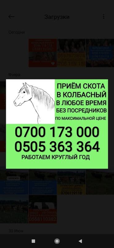 дом для животных: Сатып алам | Уйлар, букалар, Жылкылар, аттар, Башка а/ч жаныбарлары | Күнү-түнү, Бардык шартта, Союлган — 1