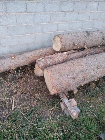 декор для сада купить: Предлагаются бревна, представляющие собой стволы деревьев, распиленные — 4