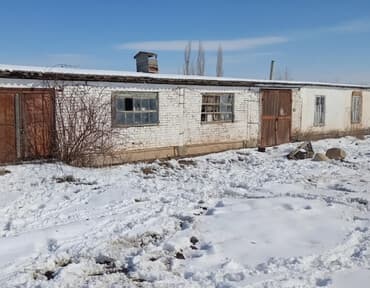сдаю дом недорого: Продаю Кошара, 50 соток, Не действующий, Без оборудования, Электричество — 1