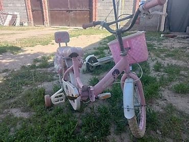 Балдар үчүн велосипеддер: Балдар үчүн велосипед, 2 дөңгөлөктүү, 4 - 6 жаш, Кыз үчүн, Колдонулган — 2