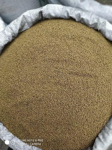 Уголь: Семена кормовых растений: Люцерна, Самовывоз — 7