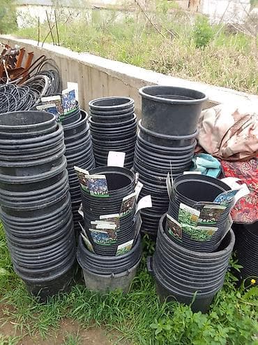 кала: Пластиковые горшки для рассады и садовых растений - Материал: плотный — 1