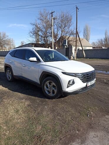 аккорд 2017: Hyundai Tucson: 2021 г., 1.6 л, Автомат, Бензин, Кроссовер — 2