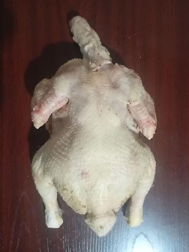 сколько стоит мясо кролика: Домашние куры бройлер халяль без ГМО 330 за кг в среднем 2.5кг — 2