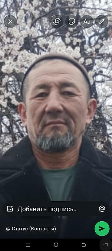 фото грин карта: Портретные фотографии на заказ - Изготовление и обработка портретов — 4