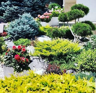 пос: 📌Все услуги по саду 📌Садовник со стажем ✂️Стрижки профессиональные — 2