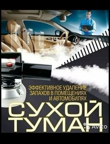 - Профессиональная обработка помещений и автомобилей методом «сухого