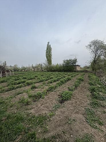 15 соток, Для строительства, Красная книга