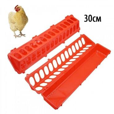 корм для форели купить: Кормушка лотковая 30 см. Подойдет для установки в клетку или брудер — 2