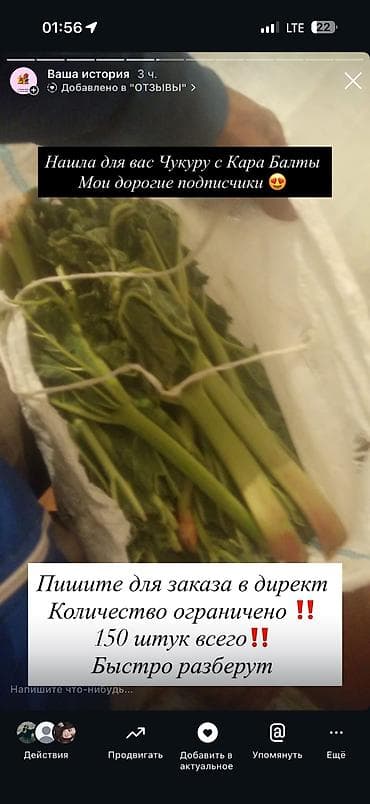 цена на вишню: Чалбагыла все равно жооп бербейм ЖАЗГЫЛА ВОТСАП конец сезона ‼️ көк — 5