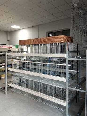 Сетка для кур. Клетки для кур-несушек, есть в наличии. в комплекте из at lalafo.kg Сетка для кур. Клетки для кур-несушек, есть в наличии. в комплекте из