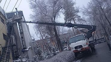 Унаа: Жаанын 32 м, 280 т — 3