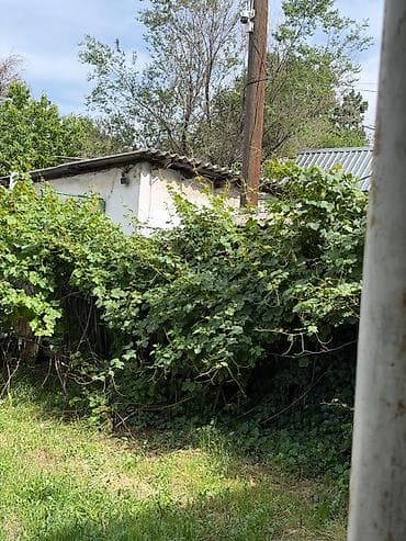 льва: 🏡 Продаётся трёхкомнатный дом барачного типа в Пишпеке 📏 Площадь: 54 — 6