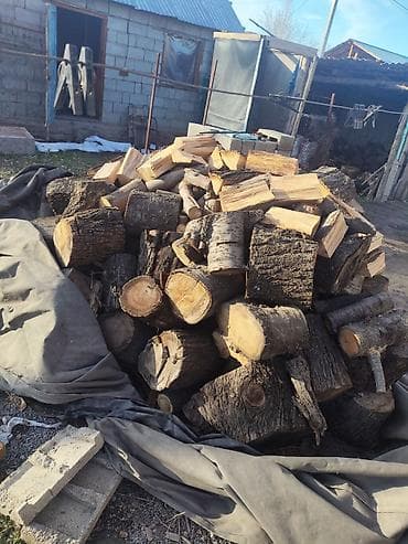 молодежная одежда: Дрова — 2