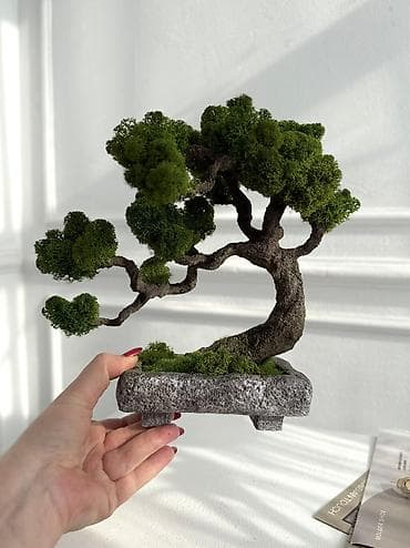 монстера тайское созвездие: Миниатюрная Интерьерная Композиция Декор для дома и офиса «Бонсай» из — 1