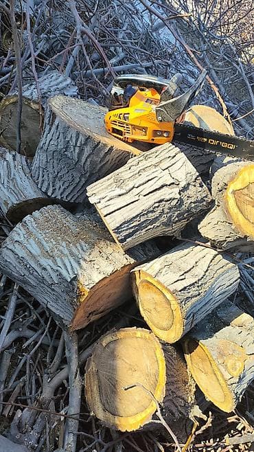 seven days: Спил деревьеПрофессиональные высотные работы по деревьям удаление — 2