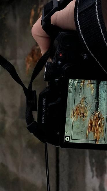nikon d7100: Nikon coolpix B500 Только обмен на айфон 16 MP CMOS, superzoom 40x — 3