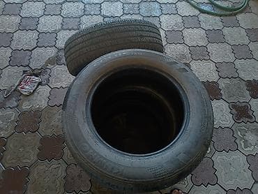 беларус шина: Шины 195 / 65 / R 15, Зима, Belshyna — 3