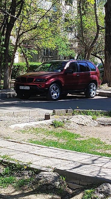 BMW X5: 2004 г., 3 л, Автомат, Дизель, Внедорожник