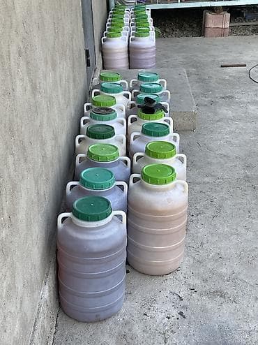 Полуфабрикаты: Токтогульский горный мёд
чистый,натуральный
оптом 6500 — 10