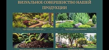опилку: Прямые поставки декоративной коры сосны и лиственницы Регион — 9