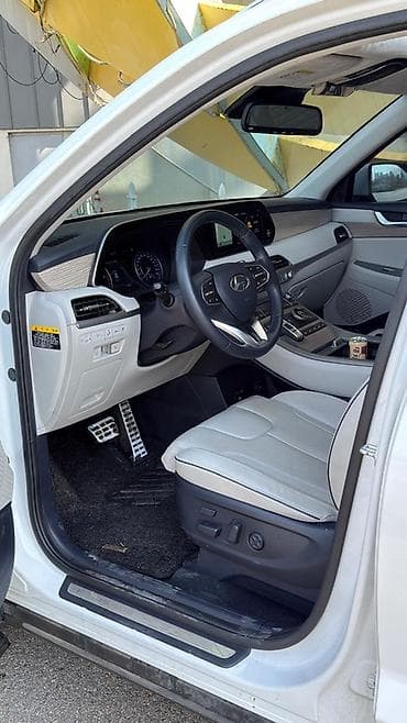 range over: Hyundai Palisade: 2019 г., 2.2 л, Дизель, Кроссовер — 8