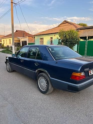 рейлинги на карнивал: Mercedes-Benz W124: 1990 г., 2.3 л, Механика, Бензин, Седан — 3