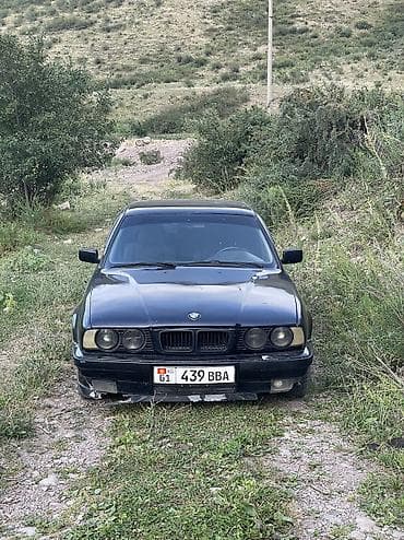 BMW 5 series: 1994 г., 2 л, Механика, Бензин, Седан — 3