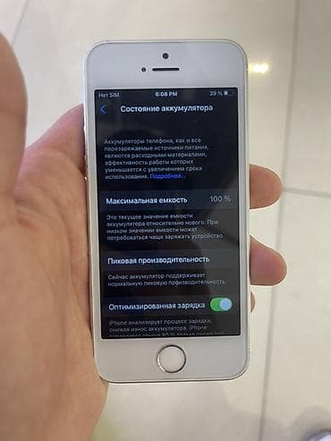 face id: IPhone SE, 128 ГБ, Серебристый, Защитное стекло, Чехол, Кабель, 100 % — 10