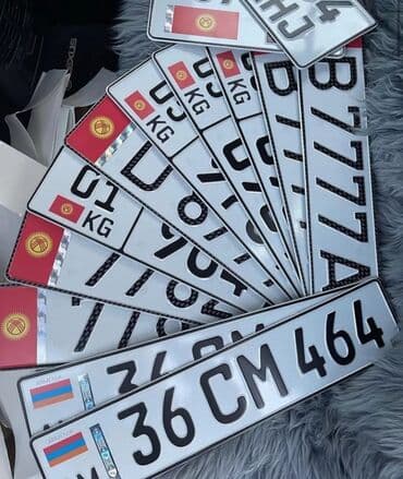 изготовление бирок: Изготовление Дубликатов 3 д номера Гос номер старого образца (4 цифры) — 1