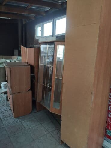 Бөлмө өсүмдүктөрү: Сервант, Колдонулган, Жыгач — 1