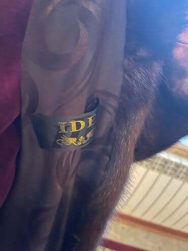 шуба на прокат: Шуба сатылат состояние жакшы 30000 кеми бар — 3