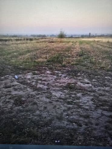 жер поля: 300 соток, Для сельского хозяйства, Договор купли-продажи — 2