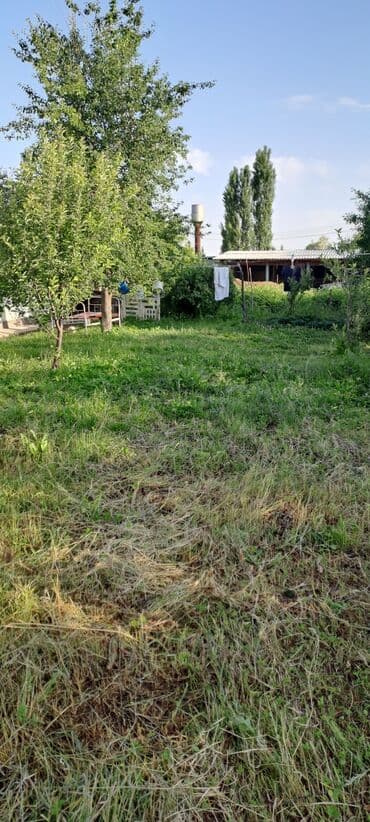 дом последующим выкупом: 10 соток, Красная книга — 4