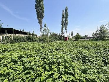 Продажа домов: Дом с кадастровым планом - Площадь по документам: 15 200 кв - Форма — 6
